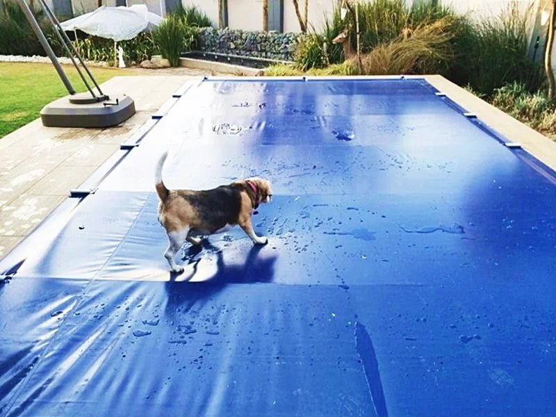 How to Choose the best Pool Safety Covers for Children and Pets in South Africa 2 PowerPlastics Solid Safety Cover Dog safety