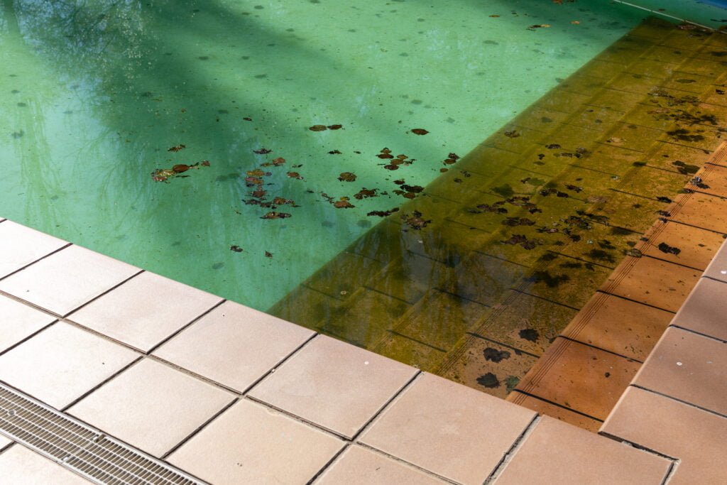 Dealing with Algae in a Pool 3 designer pool covers Dealing with leaves and algae in a pool.