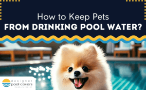 designer pool covers Happy fluffy dog by a swimming pool with text: "How to Keep Pets from Drinking Pool Water?" and a logo for Designer Pool Covers.